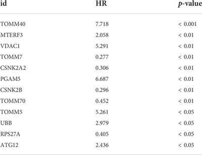 Integrative analyses of a mitophagy-related gene signature for predicting prognosis in patients with uveal melanoma